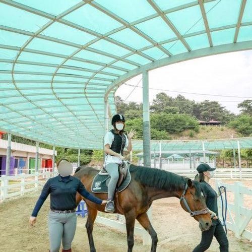 경북여행지 상주국제승마장 승마체험 & 먹이주기 체험
