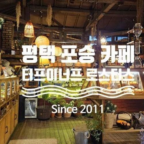 평택 포승 베이커리카페 터프이너프 로스터스 대애박