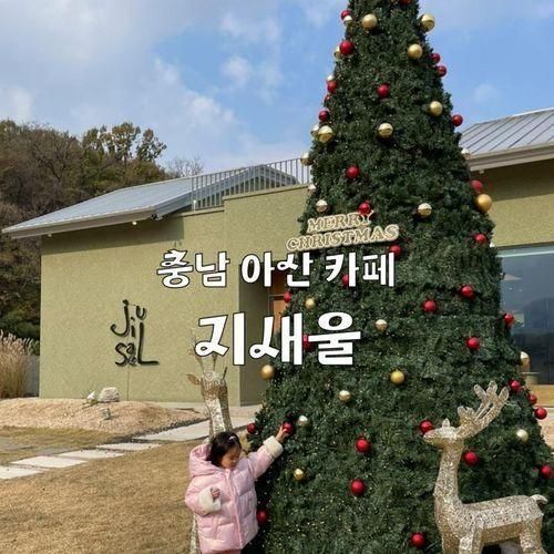 트리가 있는 아산대형카페 도고파라다이스 맛집 카페지새울