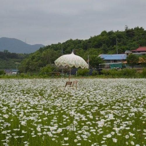 [아산] 카페 지새울