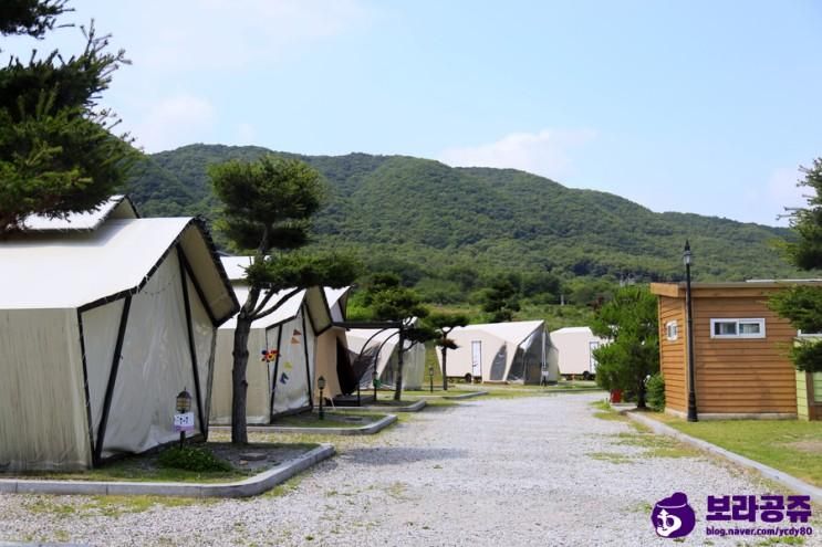 드라마 세트장이 바로 옆 용인 대장금 파크 캠핑장!