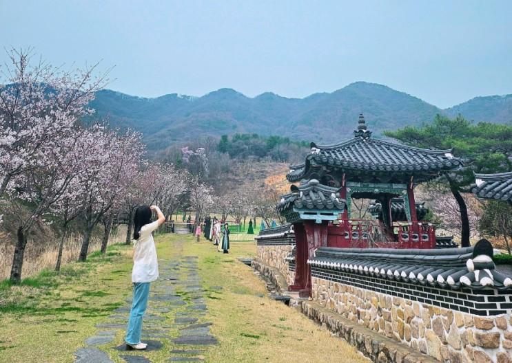 용인 대장금파크 캠핑장 사극 세트장 무료 관람