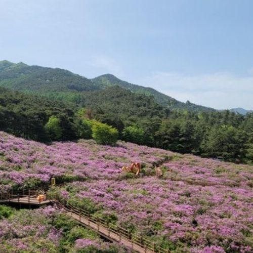 지리산허브밸리 (전북 남원)