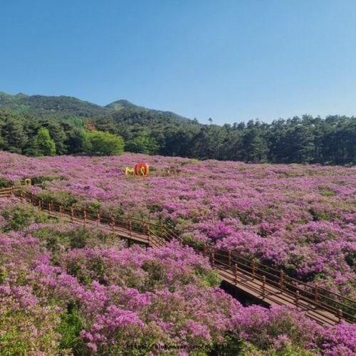 전북 남원 아이와 함께 지리산 허브밸리