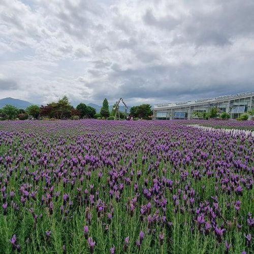 남원 지리산 허브밸리