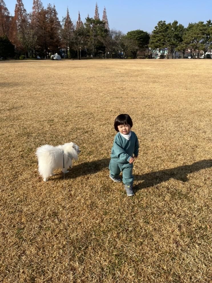 [육아일기] 창원 경상남도청 산책