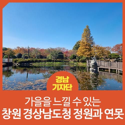 [경남 창원 / 창원 랜선 여행] 가을을 느낄 수 있는 경상남도청...