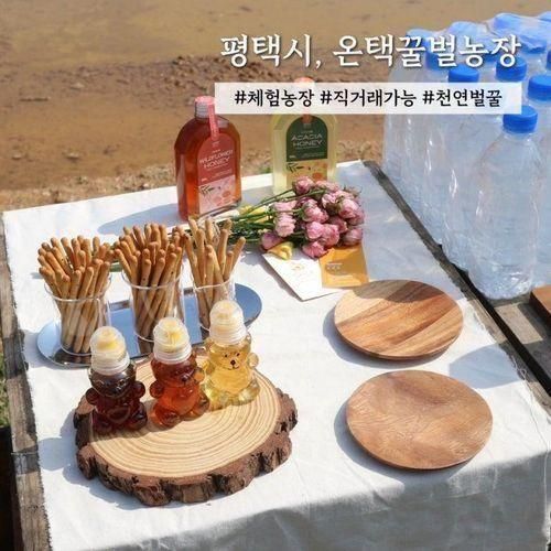 [평택시 체험농가]온택꿀벌농장/평택시 이색체험,아이들과...