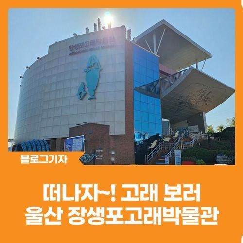 [블로그 기자] 떠나자~! 고래 보러 “울산 장생포고래박물관”