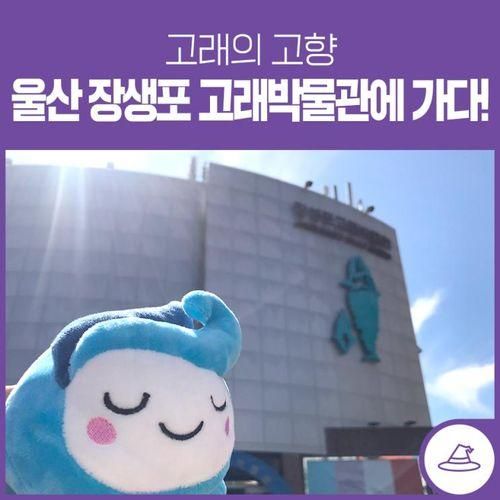 고래 전문 박물관, '울산 장생포 고래박물관'에 가다!