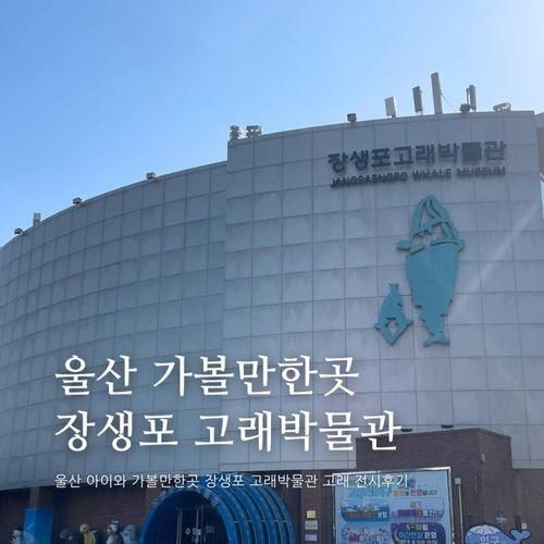 울산 가볼만한곳 장생포 고래 박물관 주차 입장료 관람 후기