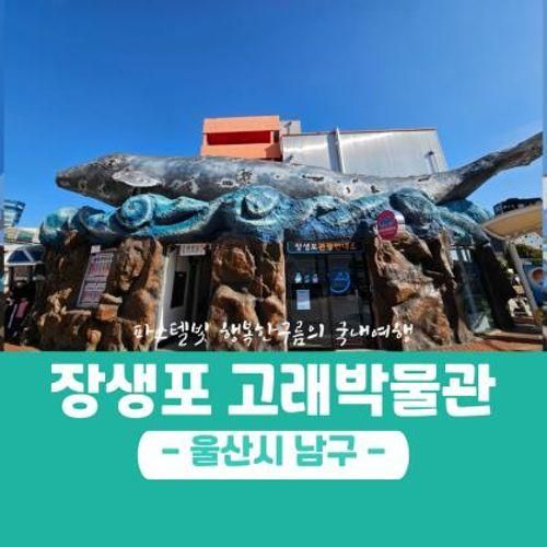 장생포 고래박물관 예매 입장료 할인 팁 총정리