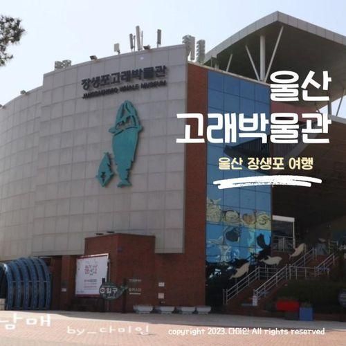 울산 장생포 고래박물관 후기 및 예매 방법