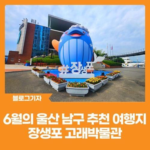[블로그 기자] 6월의 울산 남구 추천 여행지, 장생포 고래박물관
