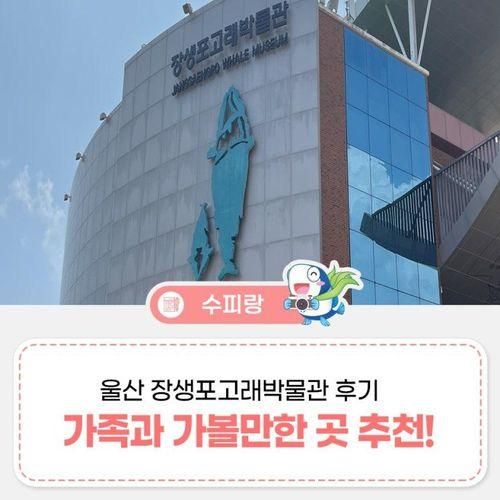 울산 장생포고래박물관 후기 가족과 가볼만한 곳 추천!