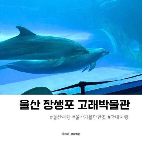 울산 장생포 고래박물관 입장료 주차 아이들과 가기 좋은 곳