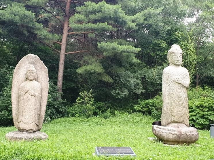 [국립 한글 박물관] 파란 마음 하얀 마음 어린이 노래