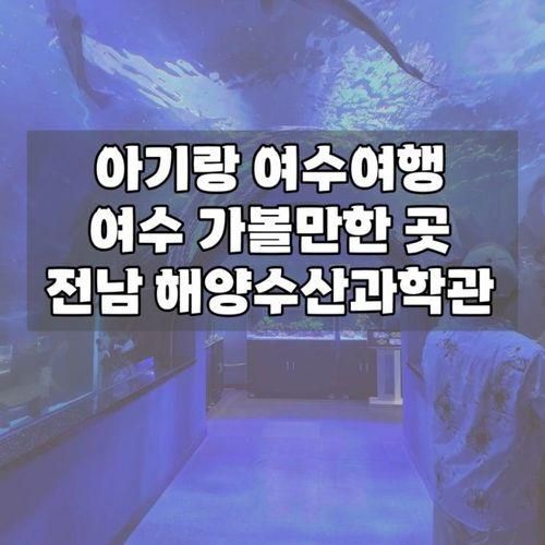 아기랑 여수여행 여수 가볼만한 곳 전라남도 해양수산과학관