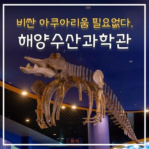 비싼 여수 아쿠아리움 대신 전라남도해양수산과학관 재방문