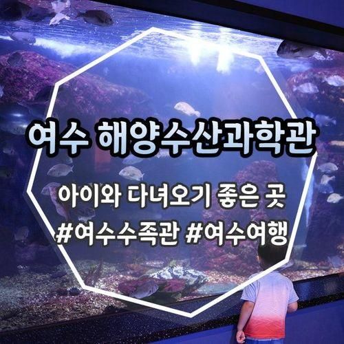 [여수] 아이와 가볼만한 곳 전라남도 해양수산과학관...