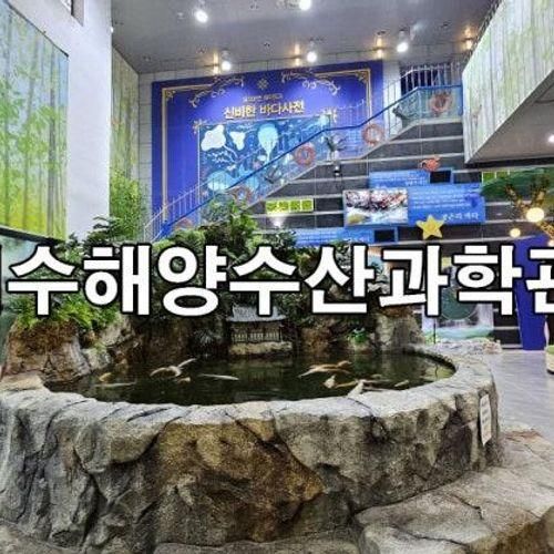 여수 가볼만한곳 전라남도 해양수산과학관 여수 겨울 여행 추천