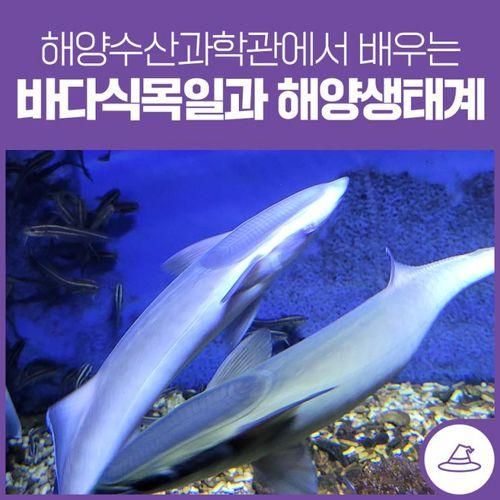 전라남도 해양수산과학관에서 배우는 바다식목일과 해양생태계