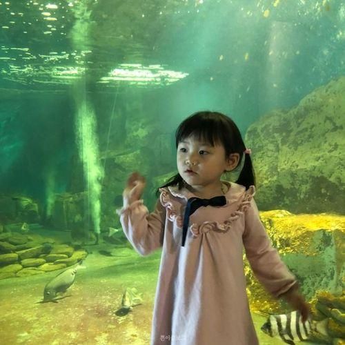 여수 가볼만한곳, 돌산 "전라남도 해양수산과학관"