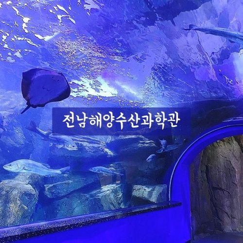전라남도해양수산과학관 / 아이랑가기좋은곳 /여수여행