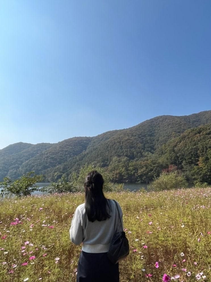 [안성/미산저수지] 뷰 맛집 호수정감 & 카페 더정감,