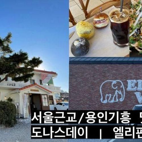 서울근교/용인기흥 맛집 : 도나스데이 | 엘리펀트빌리지