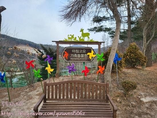 [가평]아침 고요동물원 후기