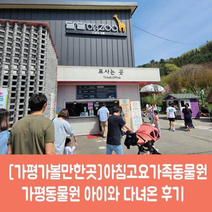 [가평가볼만한곳]아침고요가족동물원, 가평동물원 아이와...