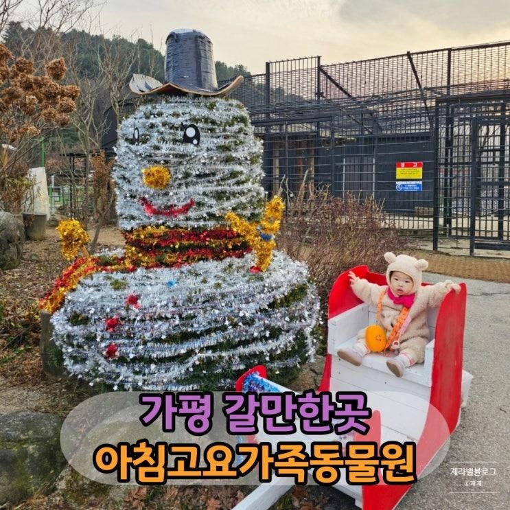 가평 14개월 아기랑 갈만한곳 아침고요동물원 가족여행