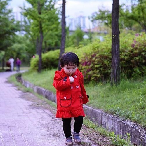 [의정부시 용현동] 곤제근린공원, 부용천 (가족과 산책시간^^)