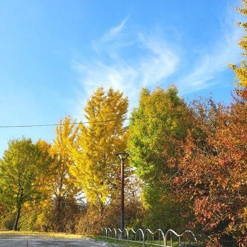 의정부 용현동 부용천 산책길(곤제근린공원)