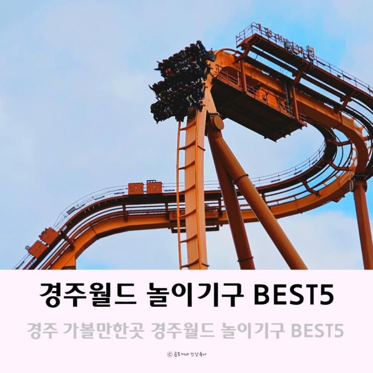 경주 놀거리 아이랑 가볼만한곳 경주월드 놀이기구 BEST5