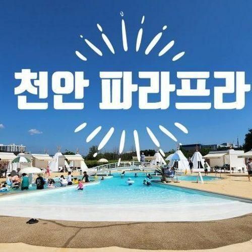 천안 파라프라, 천안 아기랑 갈만한곳 직산파라프라 후기!...