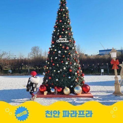 천안 파라프라 당일치기 캠핑장 | 수영장 | 크리스마스 포토존...