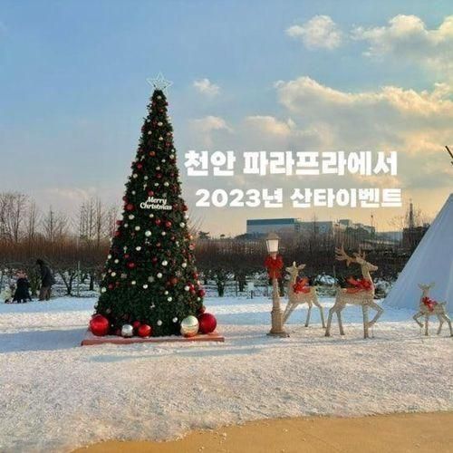 천안 [파라프라] 아이랑 가기 좋은 크리스마스 이벤트|포토존...