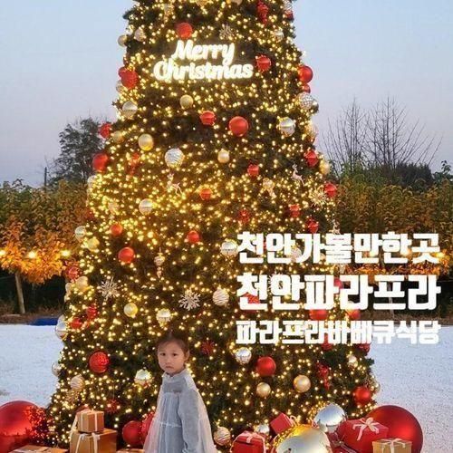 파라프라/천안 바베큐 식당/수영장 식당/ 크리스마스 시즌/천안...