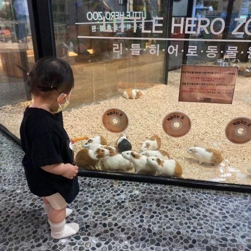 양산 실내 아기랑 가볼만한 곳 양산 리틀히어로 ZOO...