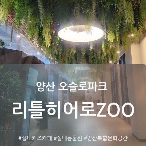 양산 오슬로파크 '리틀히어로 ZOO' 키즈카페 속 작은 실내동물원