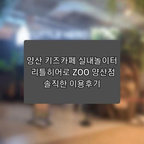 양산 키즈카페 실내놀이터  리틀히어로 ZOO 양산점 솔직한...