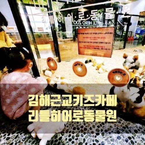 김해근교아기랑놀러갈만한곳 (양산키즈카페)_리틀히어로주( Zoo)