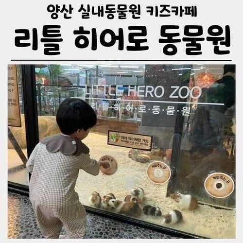 키즈카페 실내동물원 리틀히어로 ZOO 양산점 이용권할인