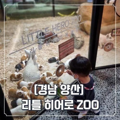 동물 먹이주기 체험 가능한 키즈카페 리틀 히어로 zoo 양산점