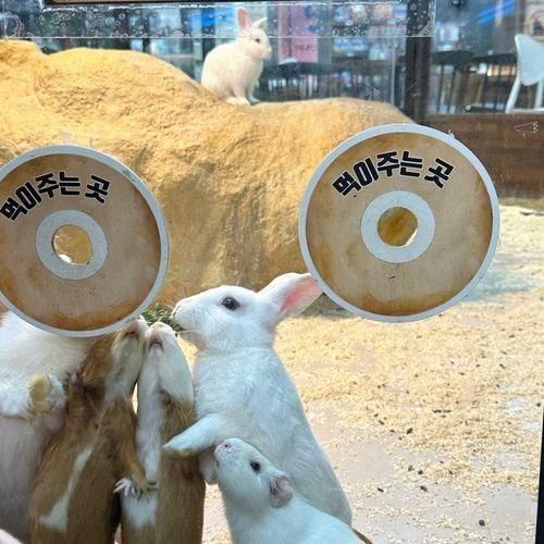 오슬로파크 리틀히어로 ZOO 양산점 작은 동물원 키즈카페