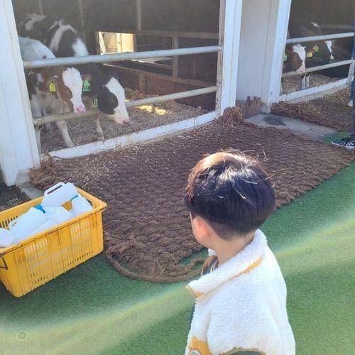 제주 아침미소목장 아기랑 가볼만한곳 꿀팁 소요시간