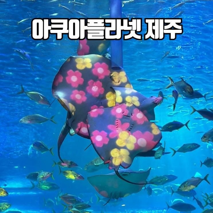 아쿠아플라넷 제주 29개월아기 관람후기 입장권 할인 및...