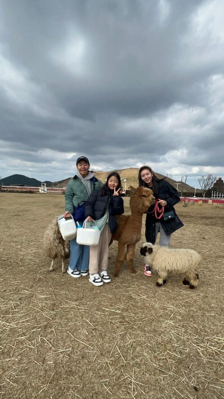 (제주 애월)애월여행 필수코스  제주동물원 새별프렌즈